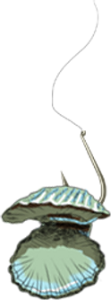 Clam on a Hook