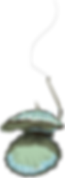 Clam on a Hook