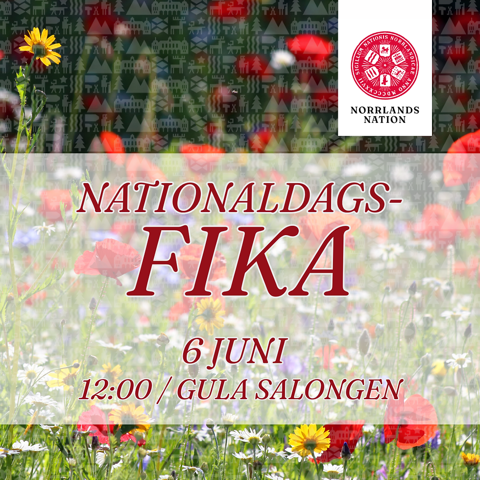 Nationaldagsfika