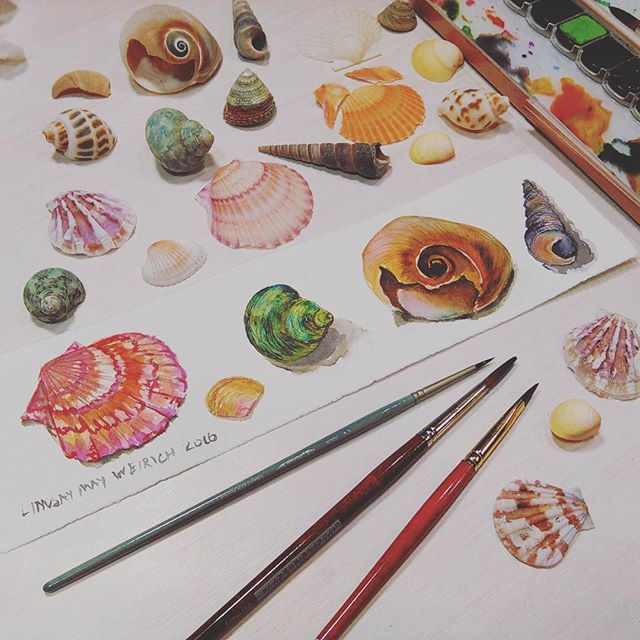 Painting seashells on a scrap of fabriano artistico paper with mission gold paints. A nice way to re