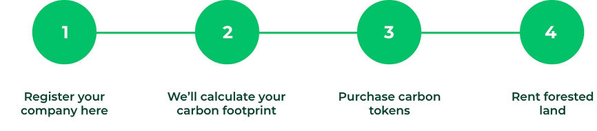 forested-companies.jpg
