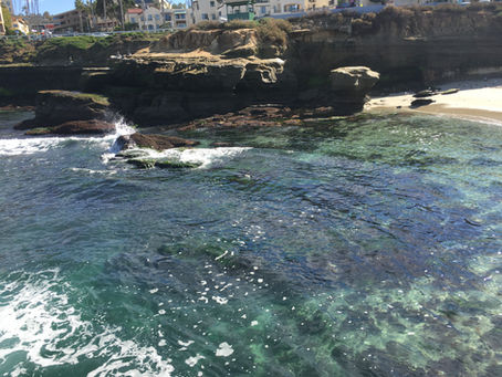 The La Jolla Blues