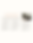 BB6pages (1).png