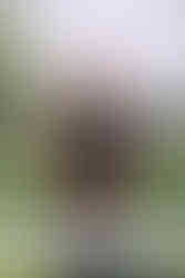 J Wood Platt Caddie Scholarship