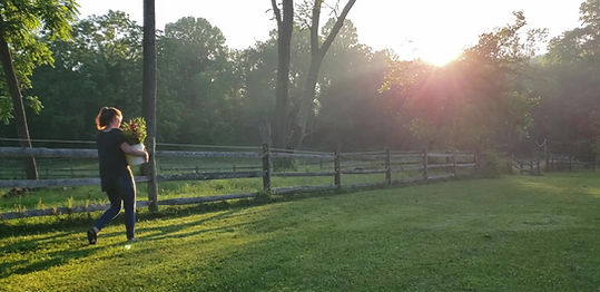 Farm video_Moment(9).jpg