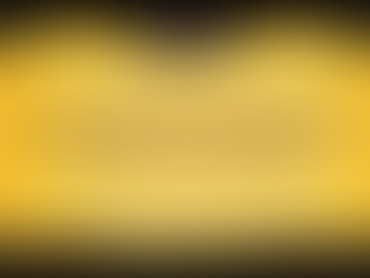 What is Your First Priority?