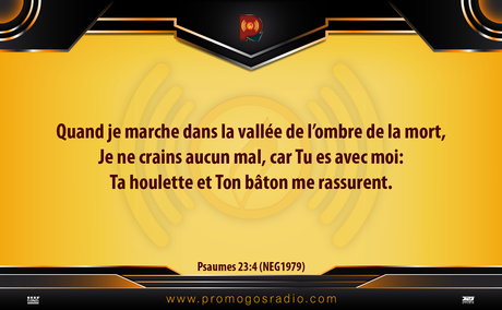 Vous N'avez Rien a Craindre