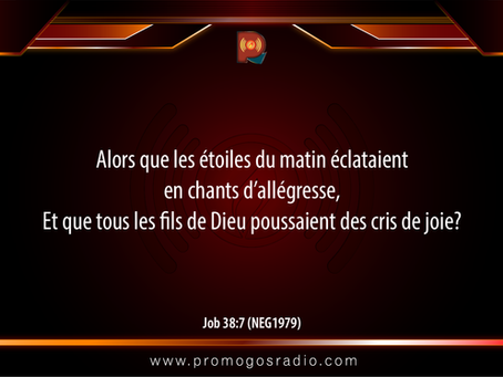 Une Attitude Emotionnelle