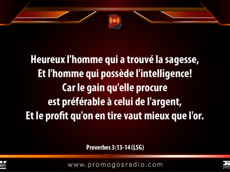 Plus Précieuses que la Richesse