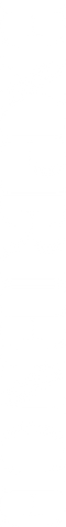 EXPERIENCE (1).png