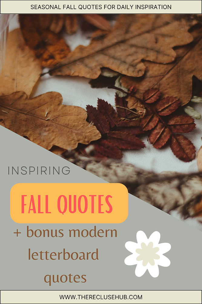 Fall Math Quotes Fall quotes to make you feel inspired + letterboard quotes