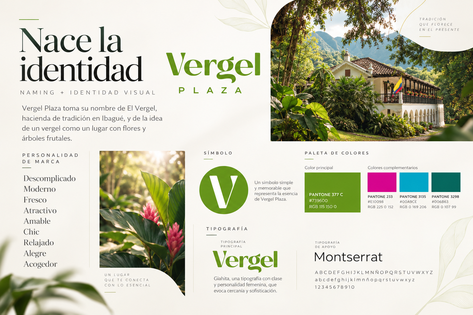 Lámina del proceso de identidad visual: nombre, logotipo, tipografía y paleta de Vergel Plaza