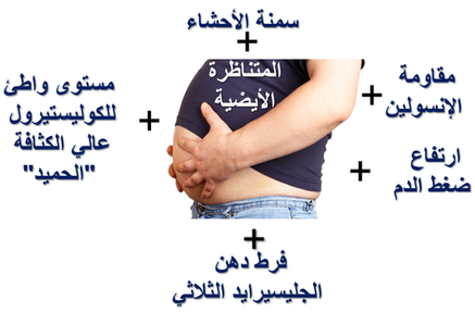 المتلازمة الإستقلابية أو متلازمة مقاومة الإنسولين أو المتلازمة الأيضية