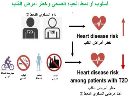 أسلوب أو نمط الحياة الصحي يخفف من مخاطر الإصابة بأمراض القلب المرتبطة بداء السكري من النوع 2