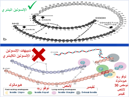 نظائر الأنسولين: الكثير من الضوضاء حول فوائد طفيفة