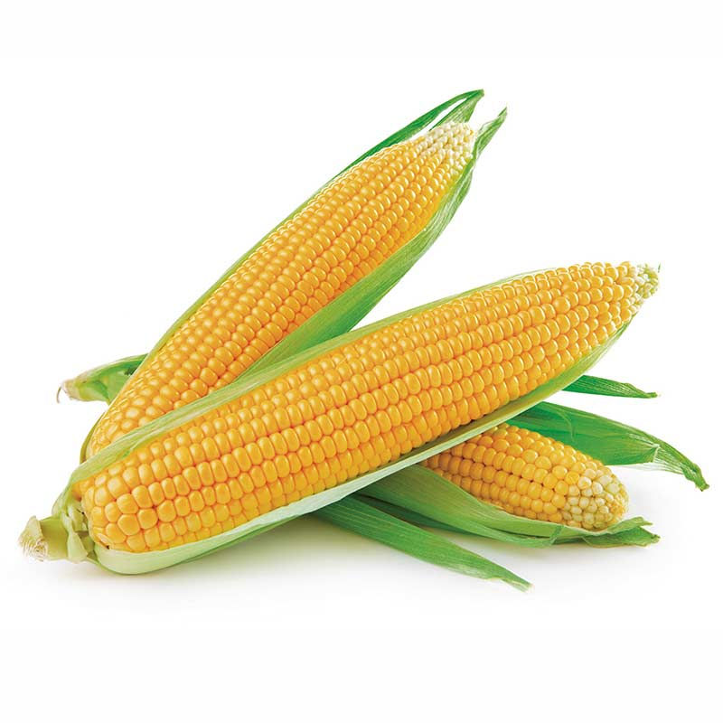 Miniaturbild: Sweet Dreams Arenal N - Ganzjahres Naturdecke