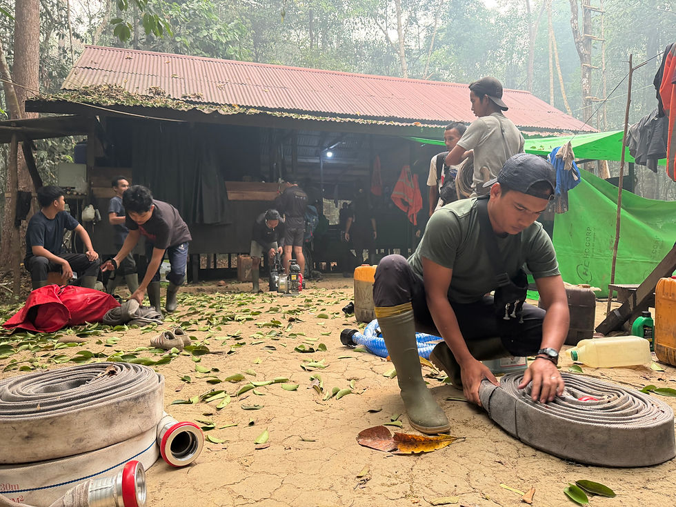Wildfires Threaten Orangutan Research Station in Gunung Palung National ParK