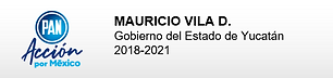 MauricioVila.png