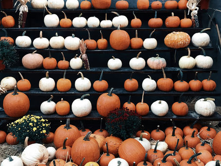 HALLOWEEN: FROM COBWEBS TO COMMUNITY