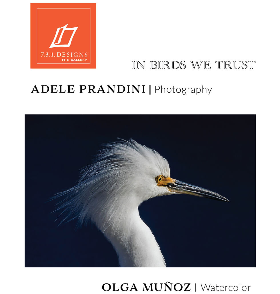 In Birds We Trust | Photography by Adele Prandini