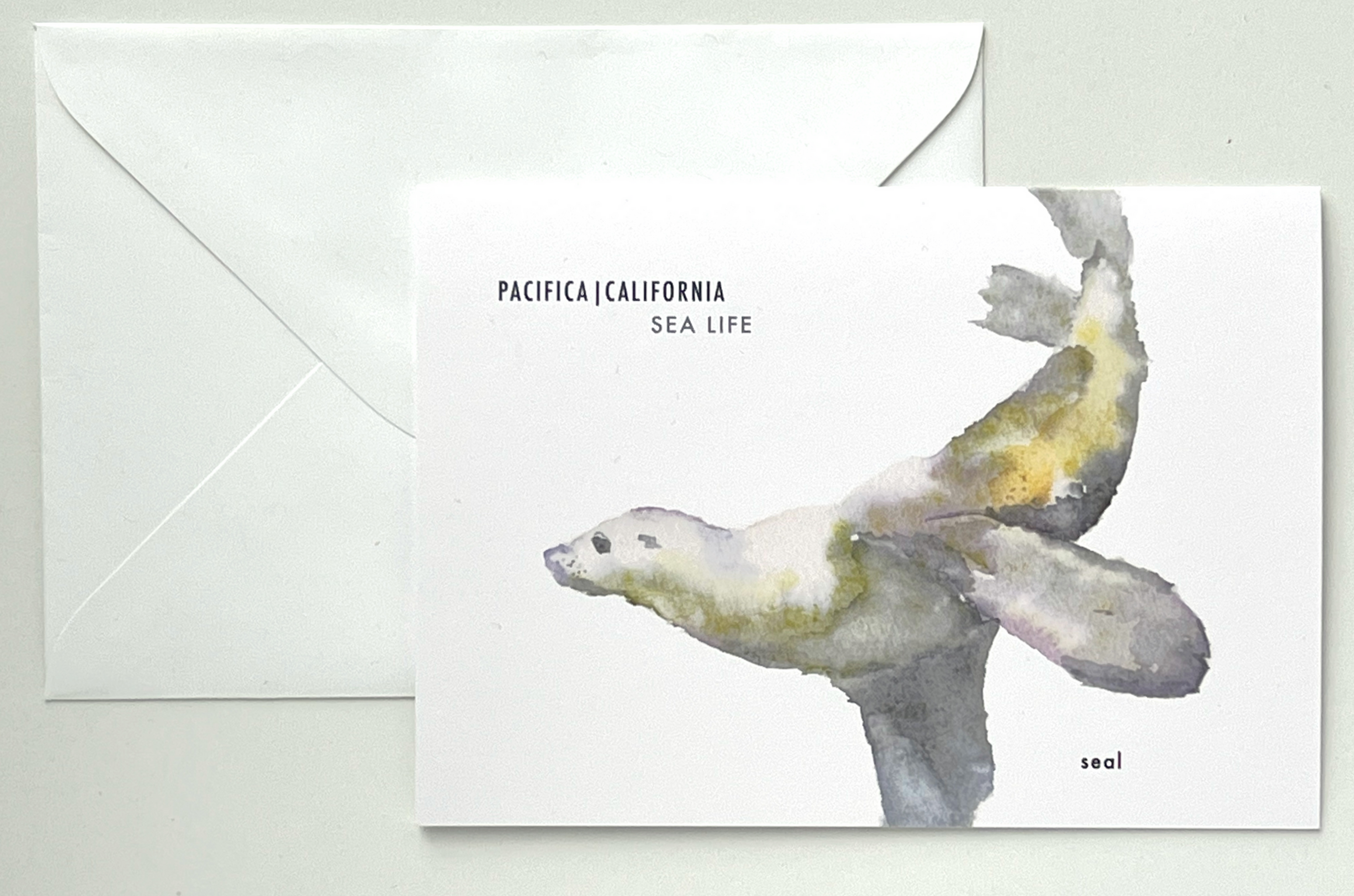 FLYING SEAL blank card