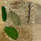 Thumbnail: CALIFORNIA Seaglass Cuff
