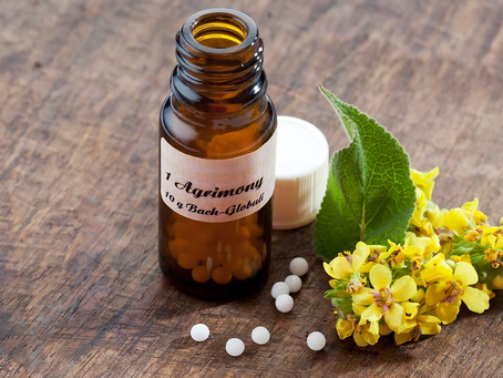 Healing the Mind Naturally: Homeopathy for Anxiety and Depression in Delhi NCR