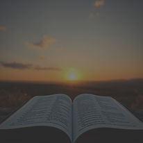 bible open sun set.jpg