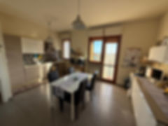 TRILOCALE RISTRUTTURATO CON BOX E GIARDINO