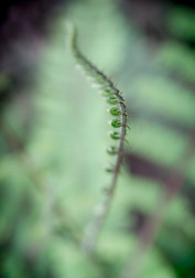DSC_9159.jpg