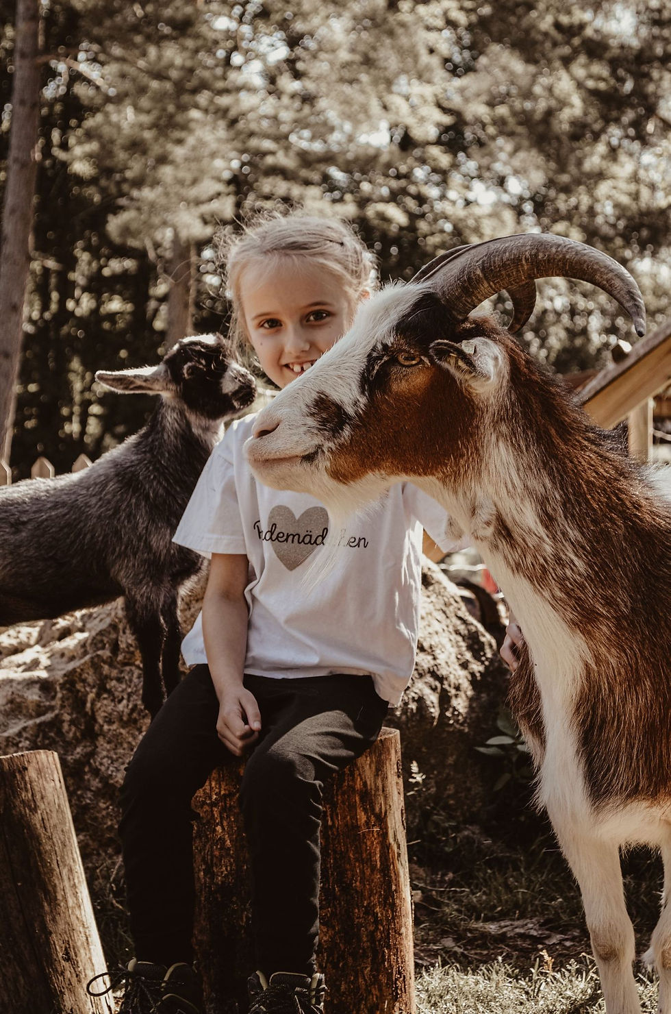 81723240-4e34-4bb7-94f3-45bca840cfb0 2