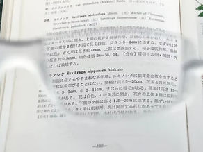 読書の秋に気づくかも？ 老眼の初期症状とセルフチェック方法