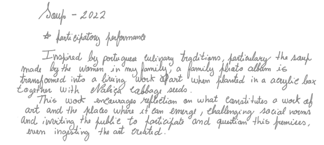 sopa ing_edited_edited.png