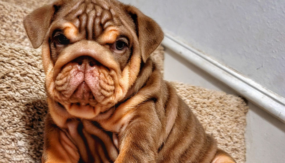 20230120_233450-01 (1).jpeg