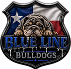 file_00000000fb5871fdbdc8d95263fd9428 (1).png
