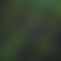 Reforestation Revolution 