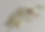 a8763a76-061d-4068-93b0-9c46bf49976a_edited_edited_edited.png