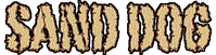 SD logo words with border.png