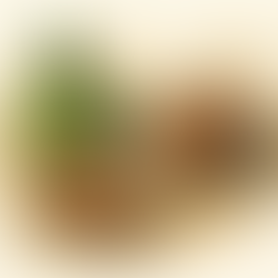 Recettes Malgaches : 🍌 Koba Akondro – Gâteau malgache à la banane et aux cacahuètes