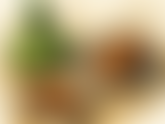 Recettes Malgaches : 🍌 Koba Akondro – Gâteau malgache à la banane et aux cacahuètes