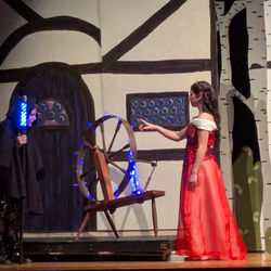 Sleeping Beauty The Musical