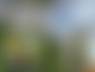 Vertical Barbera da Cattacini (Brasil) - Cave Nacional