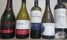 Confraria Grupo do Baco - #1 - Brasil e suas uvas