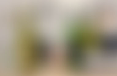 Confraria ENO Lógico -  #2 - A pureza dos vinhos orgânicos