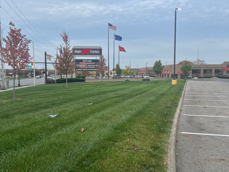 Late Spring to Summer Landscaping Tips for a Healthy, Attractive Yard