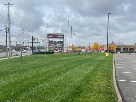 Why Commercial Properties Need Professional Outdoor Maintenance