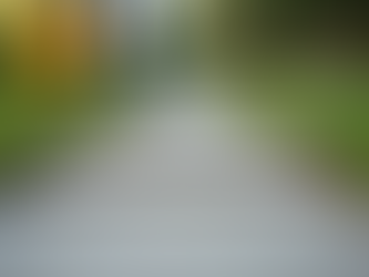 Top Columbus Landscaping Experts: Transform Your Outdoor Space with the Best in Town