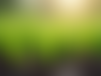 Essential Tips for Preparing Your Lawn for Spring Growth