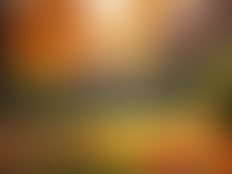 Essential Fall Cleanup Tips to Prepare Your Home for Winter