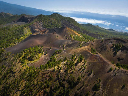 Randonnées à La Palma : les sentiers incontournables avec guide certifié
